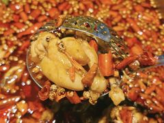 -味之绝·美蛙鱼头火锅(科巷店)