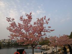 -新江湾城公园