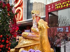 -越秀西湖花市(广州城市广场花卉店)