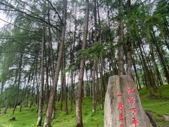 -硗碛藏寨·神木垒景区