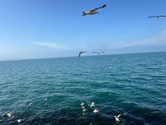 -悦海公园