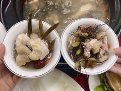 -花苑美食横琴生蚝火锅(拱北粤华路店)