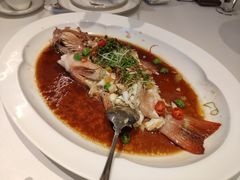 青花椒蒸东星斑-伯衡55·吉品轩(乌鲁木齐南路店)