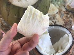 -东郊椰林