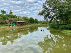 -佛冈森波拉度假区