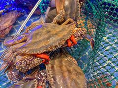 -珊海荟海鲜楼·天津菜·海肠捞饭·皮皮虾锅贴王(佛罗伦萨店)