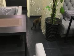 -吱咖啡西式简餐