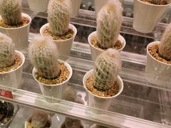 -KKV(深圳宏发大仟里店)