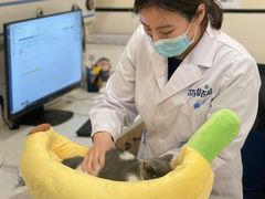 -萌兽医馆·犬猫专科·眼科中心·宠物医院(朝阳门分院)