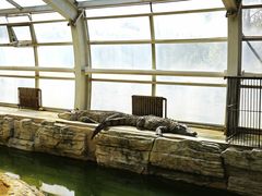 -石家庄市动物园