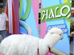 -HALO广场(梨园路店)