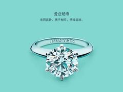 -Tiffany & Co.蒂芙尼
(南京德基广场店)