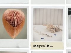 -青岛贝壳博物馆