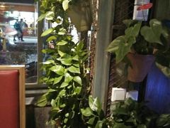 -山色西餐·柴火烤披萨