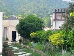 -龙坞茶村