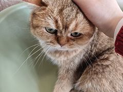 -平行世界·猫咖(首经贸店)