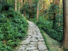 -冶父山国家森林公园