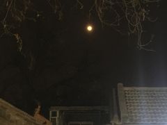景点-南锣鼓巷