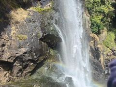 -九鲤湖风景区