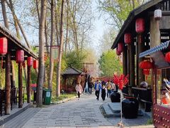 -合肥滨湖国家森林公园