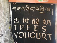 -古树酸奶(八廓南街店)