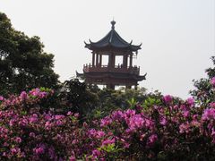 -梧桐山风景名胜区