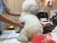 -宠爱国际动物医院·消化内科·心肾内科·ISFM猫友好(望京店)