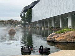 -罗红摄影艺术馆