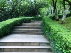 -南山植物园