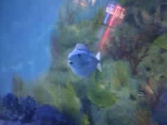 -常州海昌海洋探索馆
