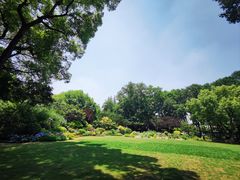 -上海醉白池公园