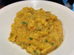 老奶洋芋-紫滇源云南生态菜(丹凤街店)