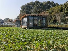 -洪湖家庭农场·团建·露营·会议