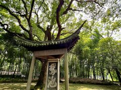 -兰亭风景区