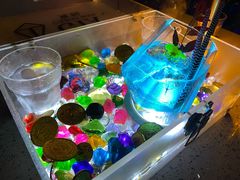 -GIA CARAT BAR 克拉概念店