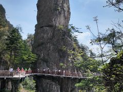 -老君山风景名胜区