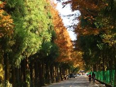 -山王坪喀斯特国家生态公园