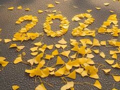 -浙江大学医学院附属第二医院(解放路院区)