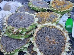 -新疆国际大巴扎