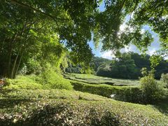 -马峦山郊野公园