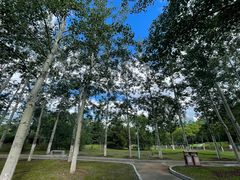 -滨河世纪广场公园