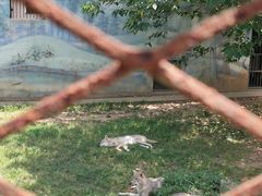 -无锡动物园·太湖欢乐园