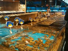-渔公码头·九龙湾国际饭店