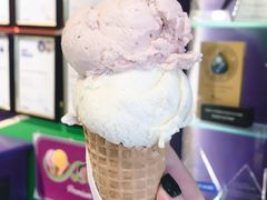 -Dooley's Premium Ice Cream