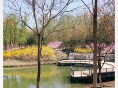 -大兴滨河森林公园