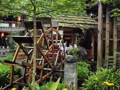 -青城甲(青城山店)
