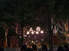-千岛湖天屿景区