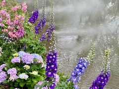 -人民公园(罗湖区)