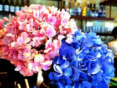 -桃花江餐厅·江景-约会·聚会
