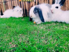 -云梦方舟欢乐水世界
